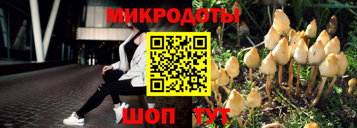Псилоцибиновые грибы мицелий Котовск